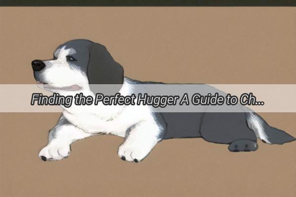 Finding the Perfect Hugger A Guide to Choosing a Loyal and Cuddly Canine Companion